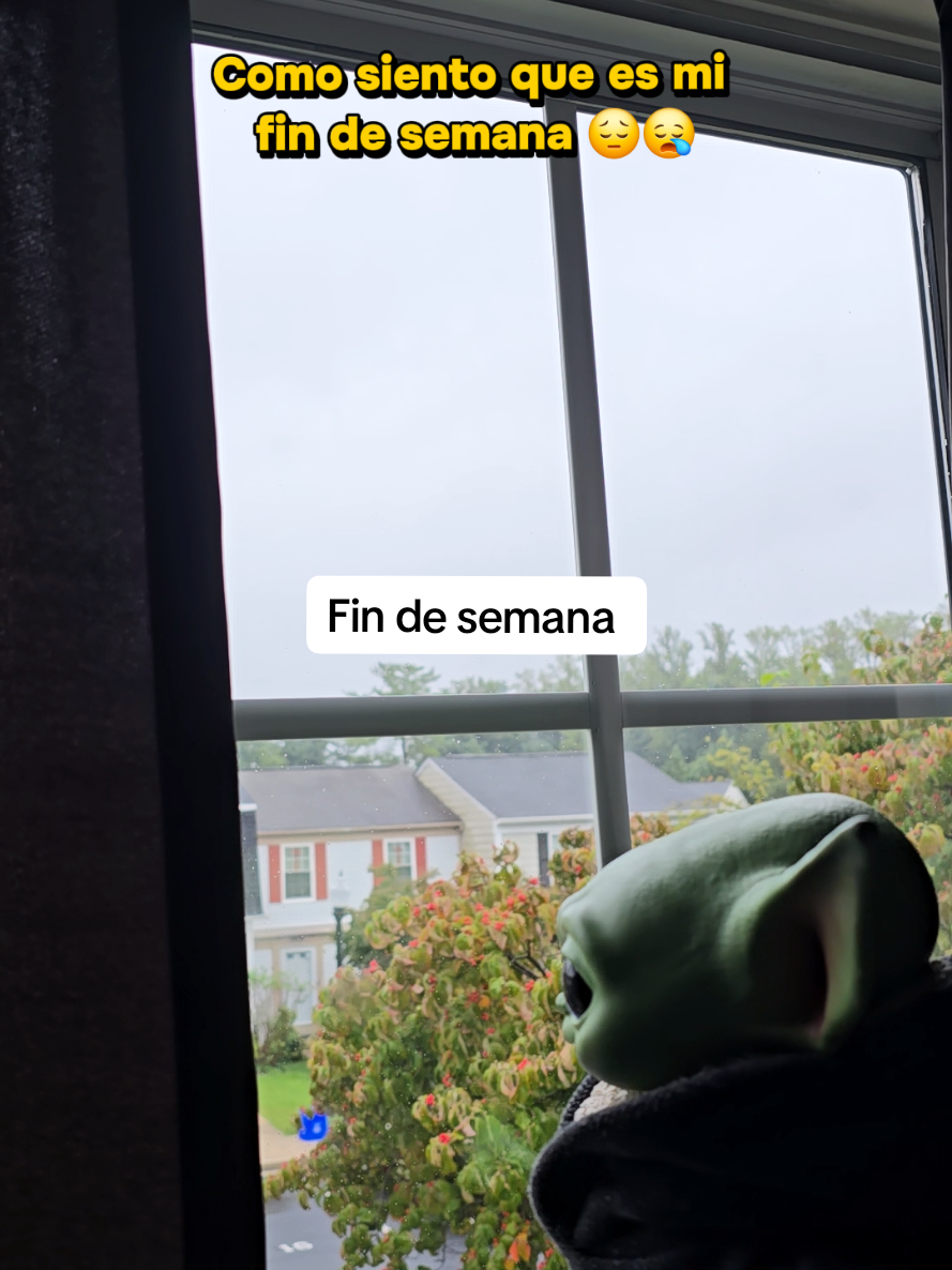 @Yoditabeibi (USA)