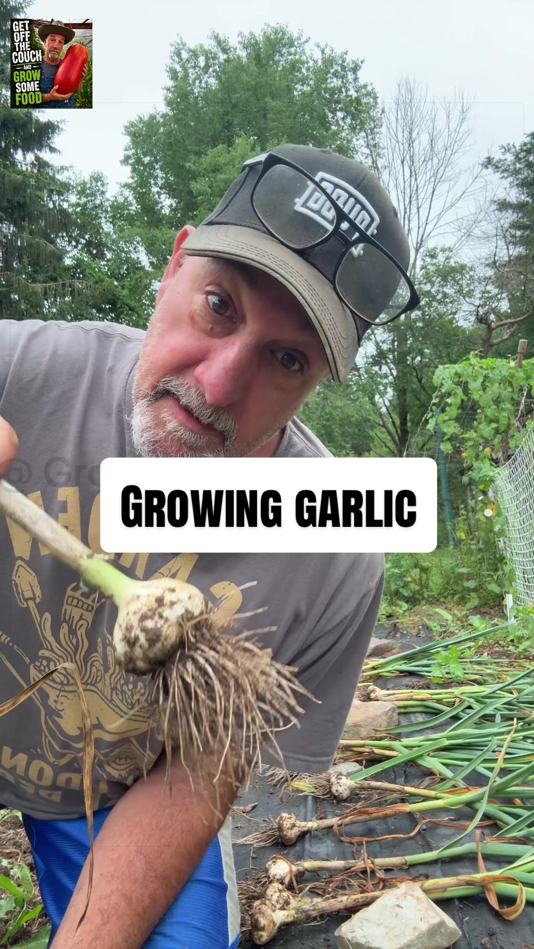 @GROWING_EDIBLE_PLANTS