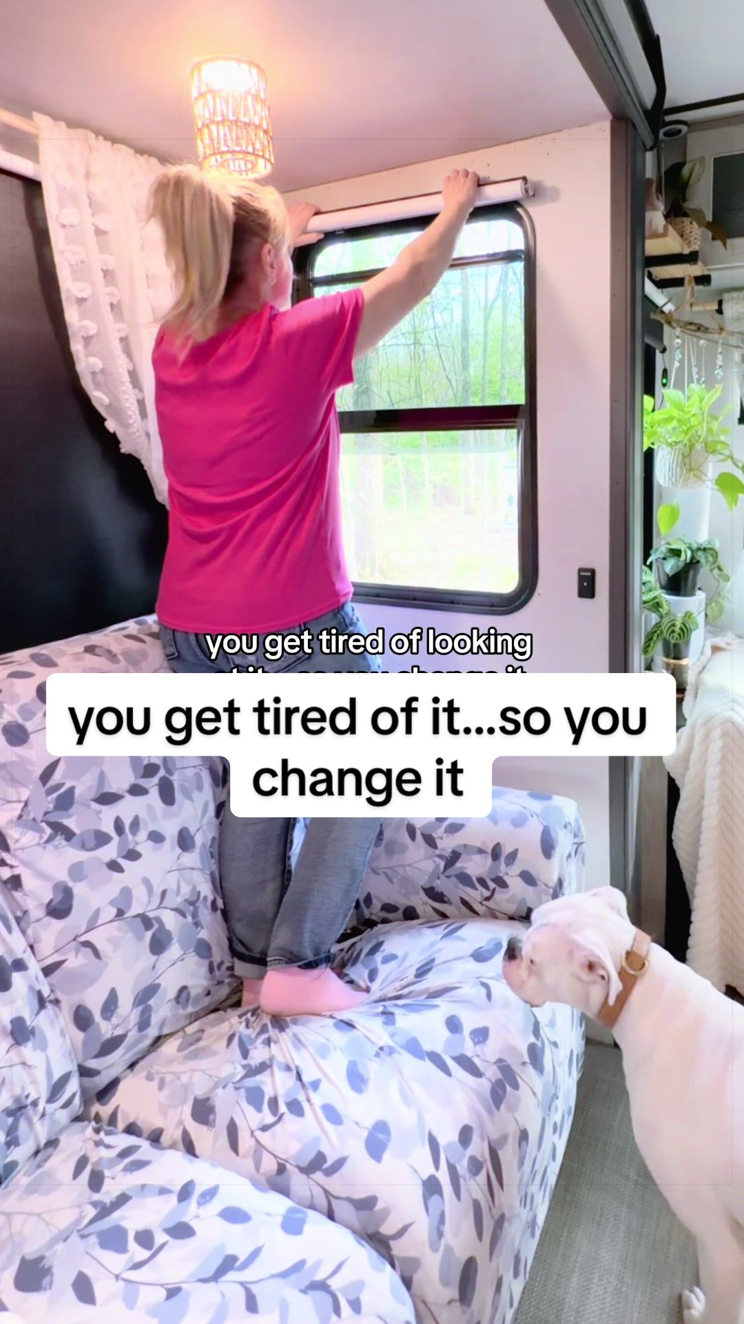 @Vivi June ˚ ✩ 。˚ ˚☽