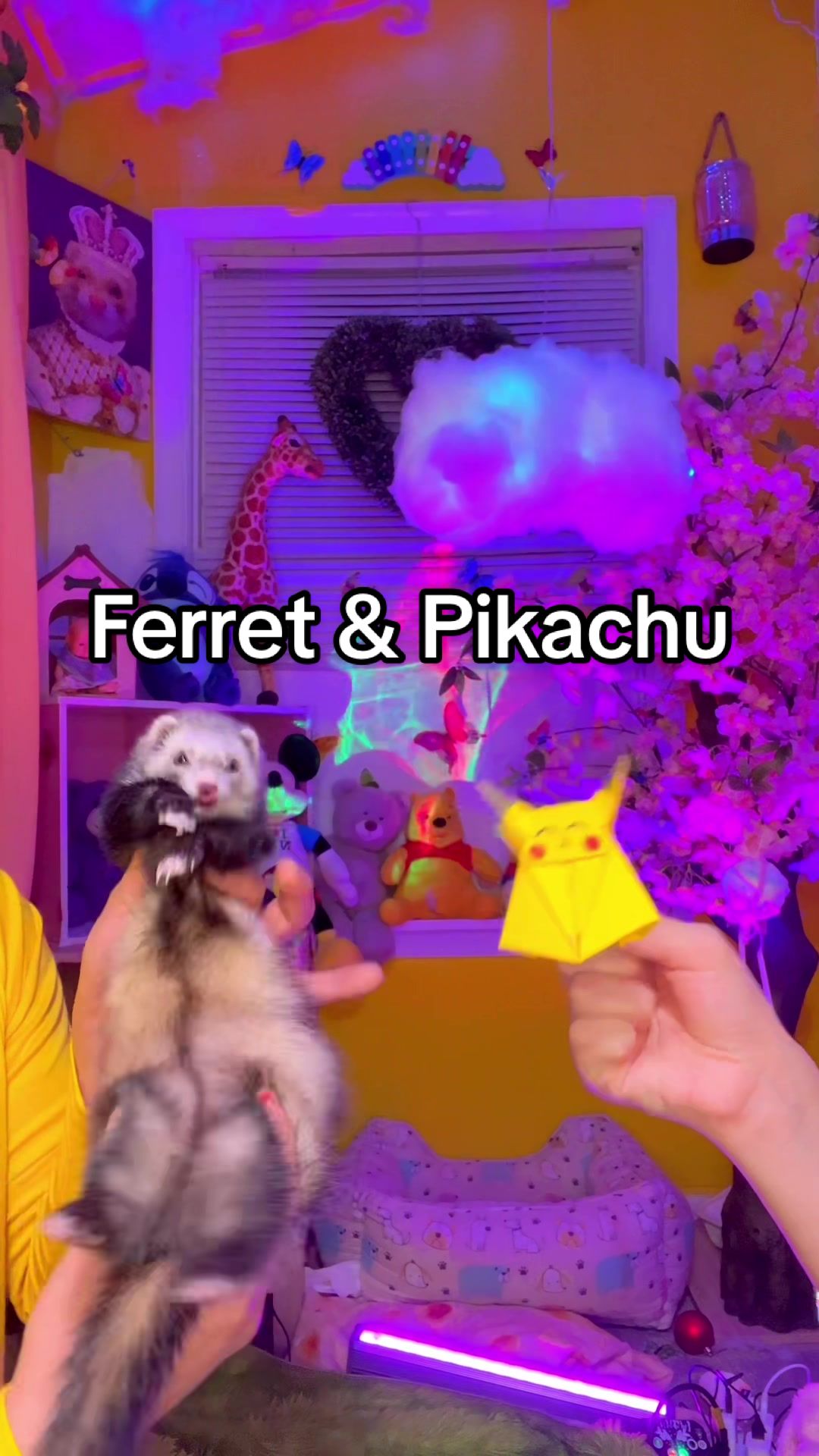@Floofnoodles