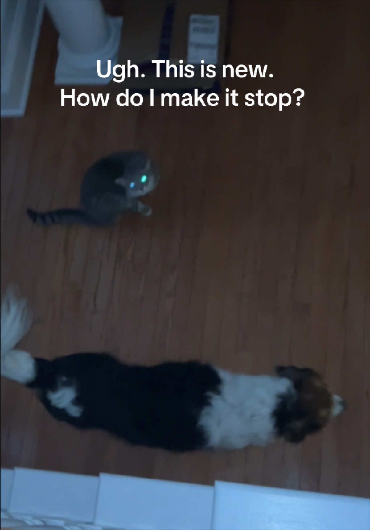 @WhatTheActualKaren