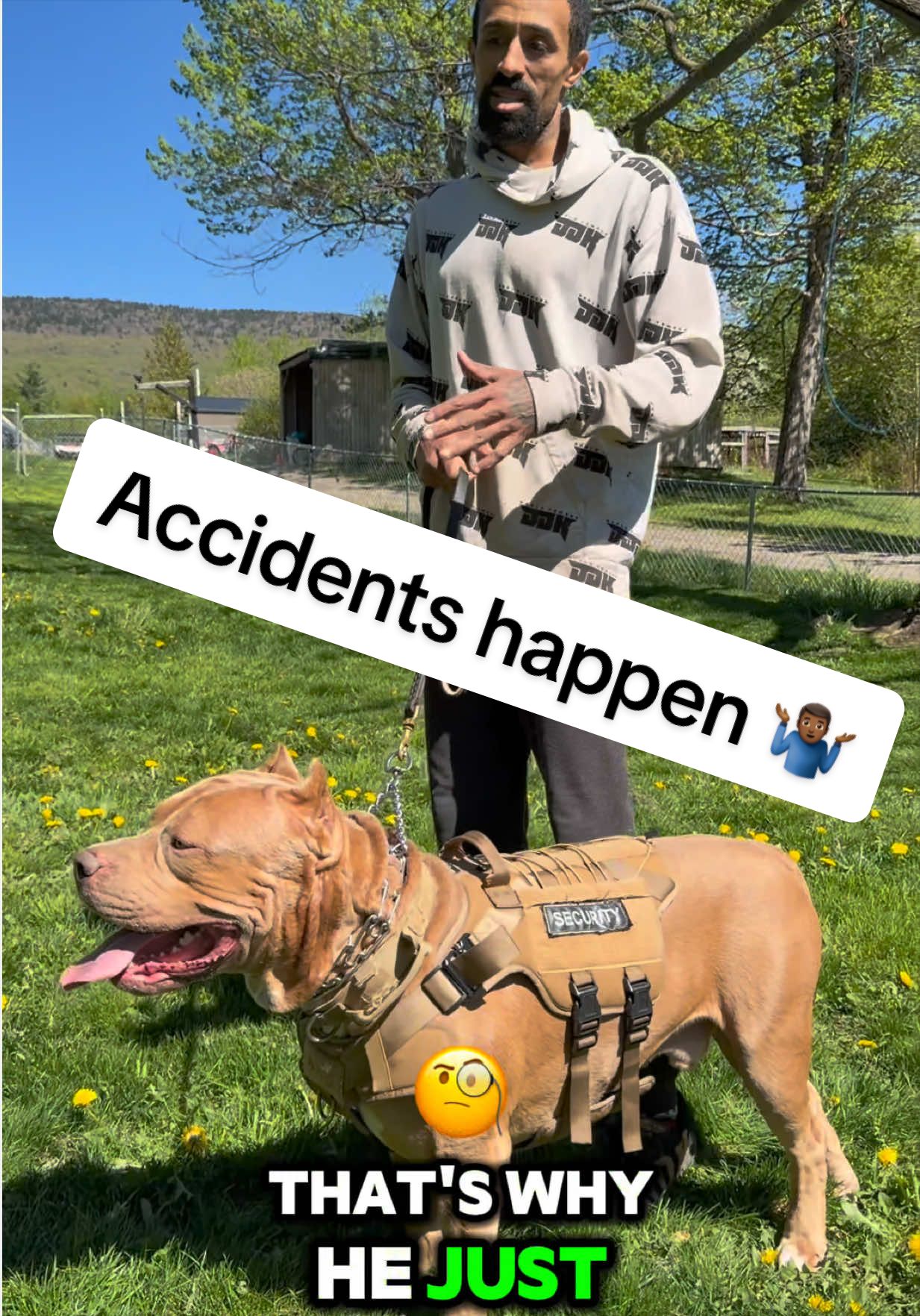 @DarkDynastyK9s