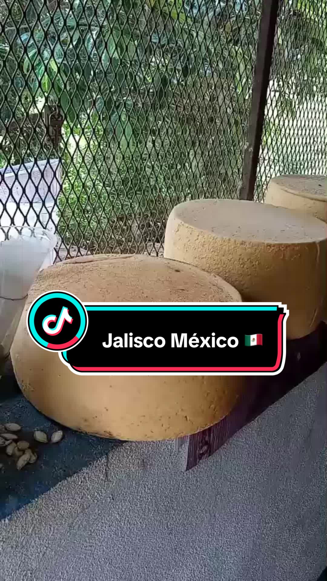 @ISRAEL SOTO.C🇺🇸🦂🇲🇽