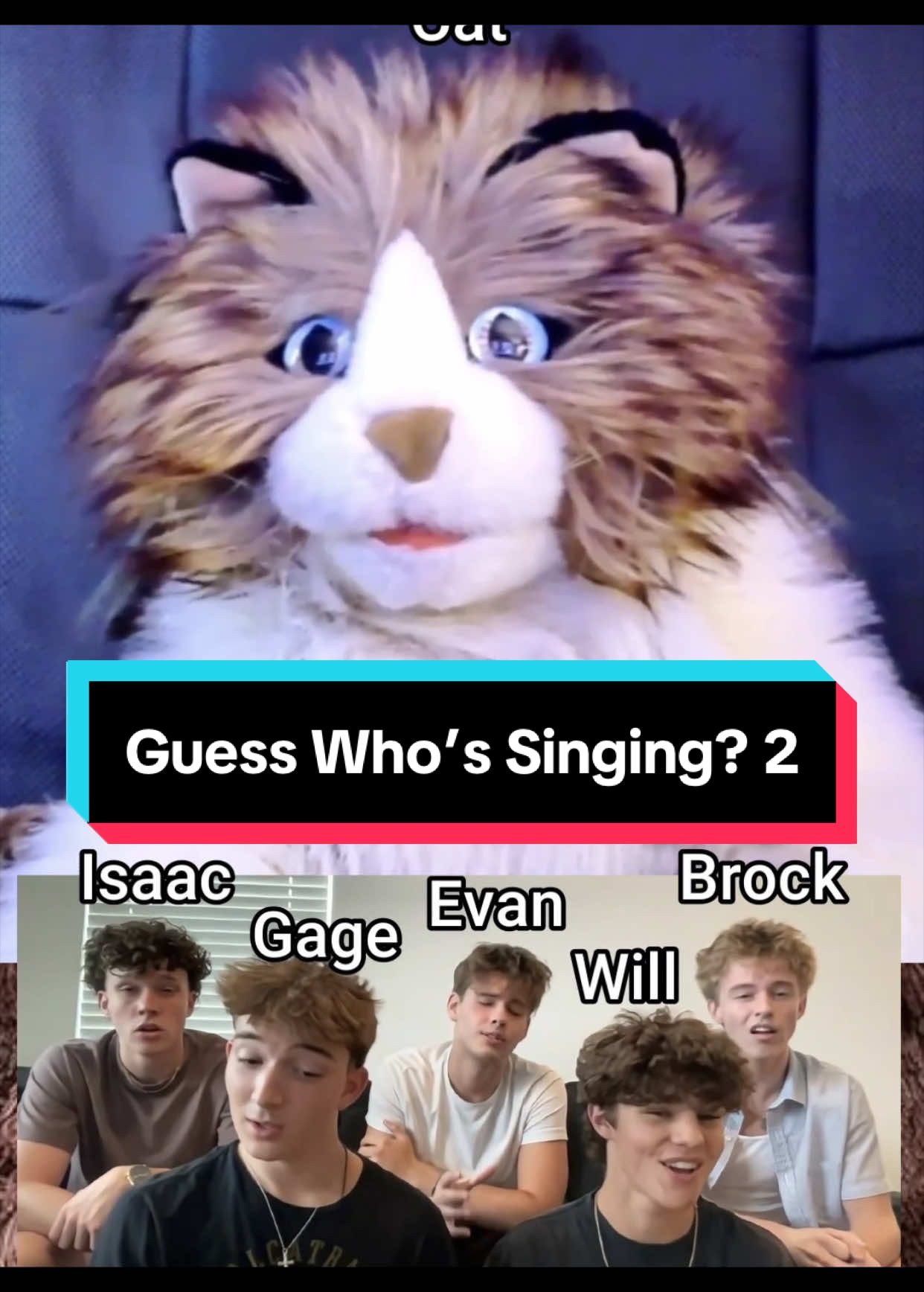 @PeterPrankster