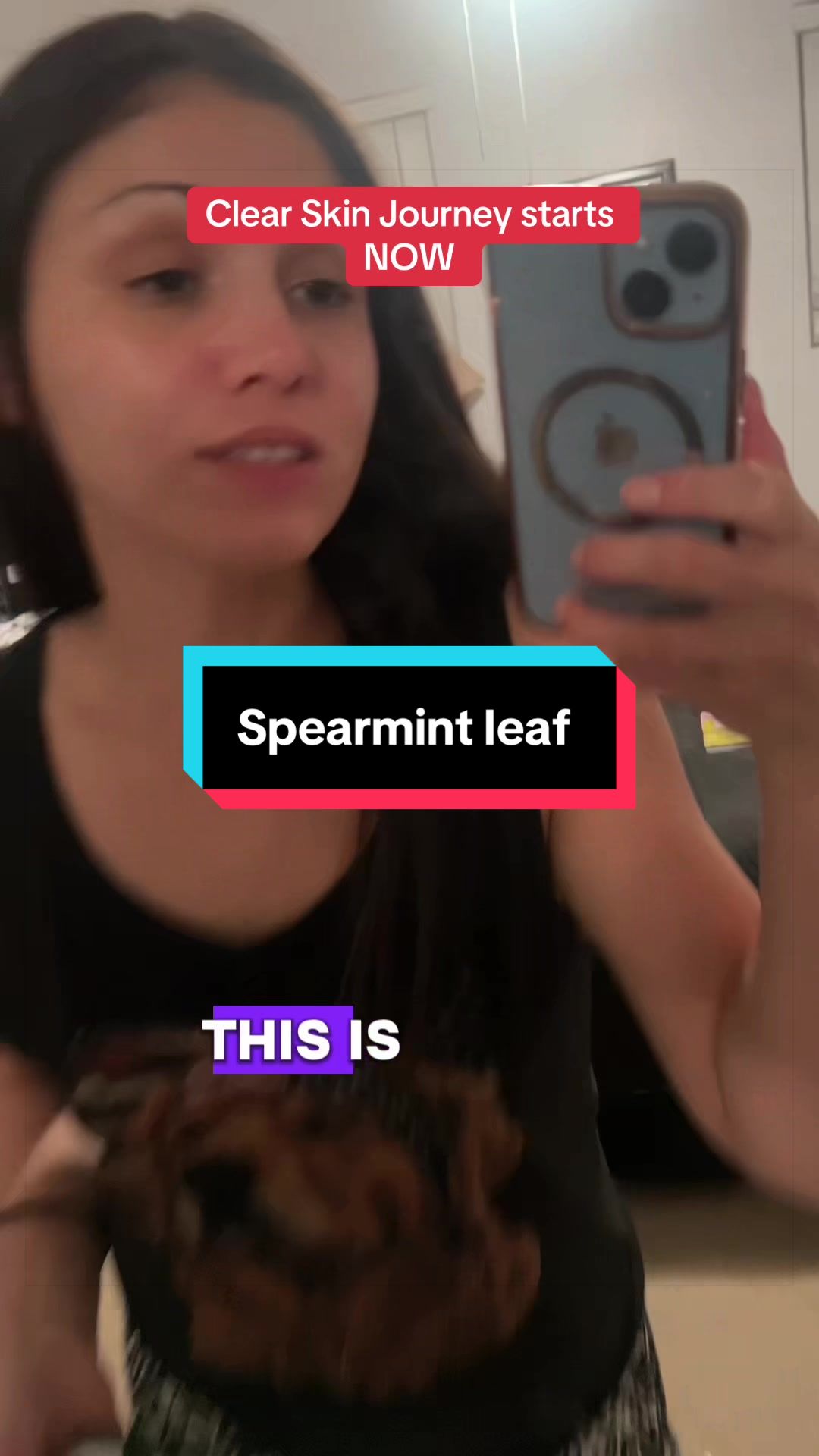 @success_sofistory