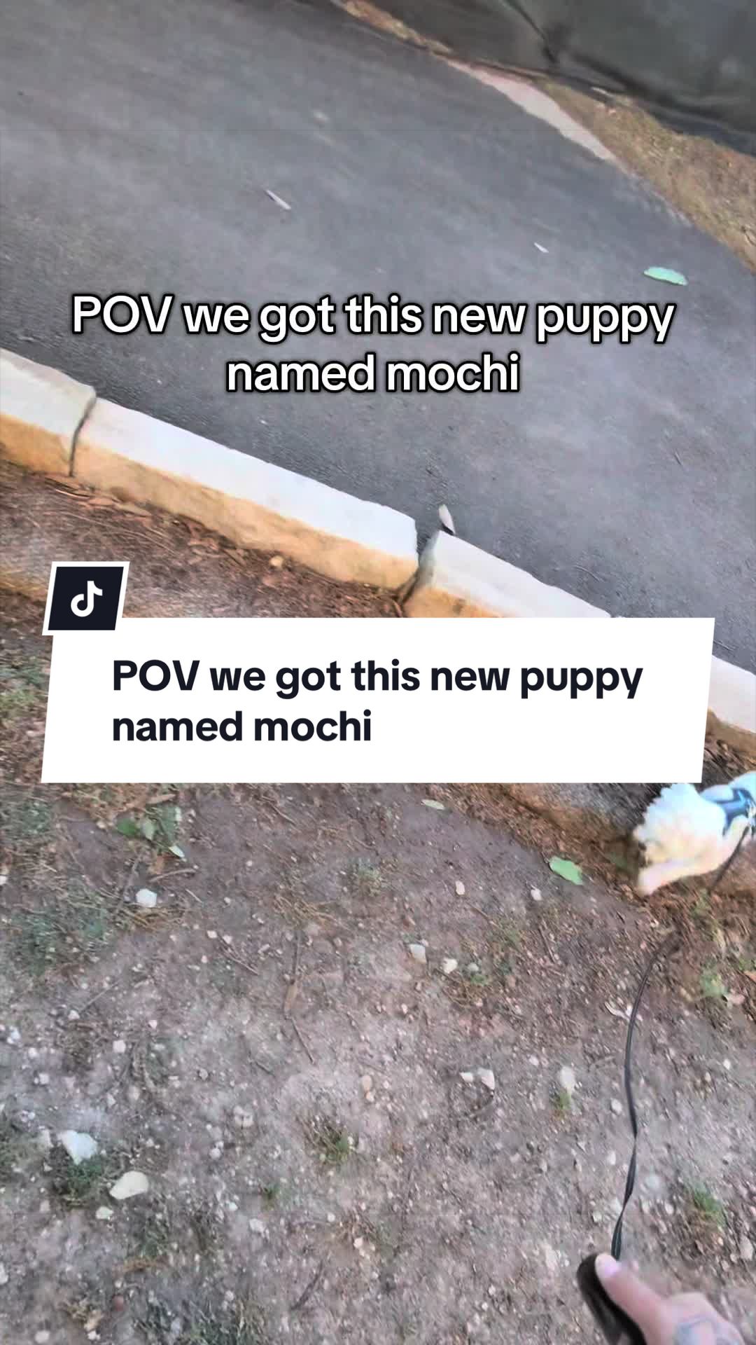 @Mochithemenace