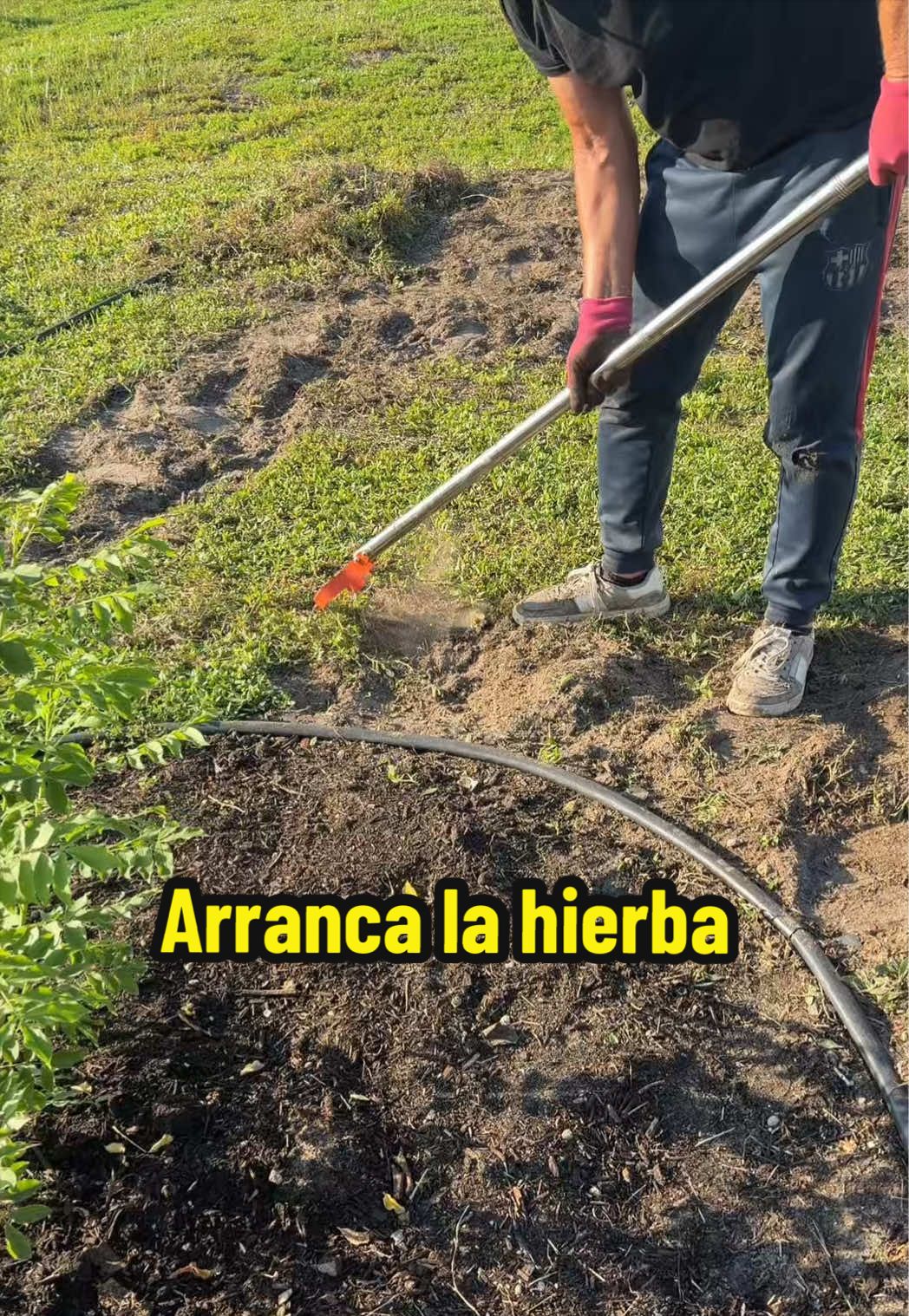 @Aprendiendo con Ana