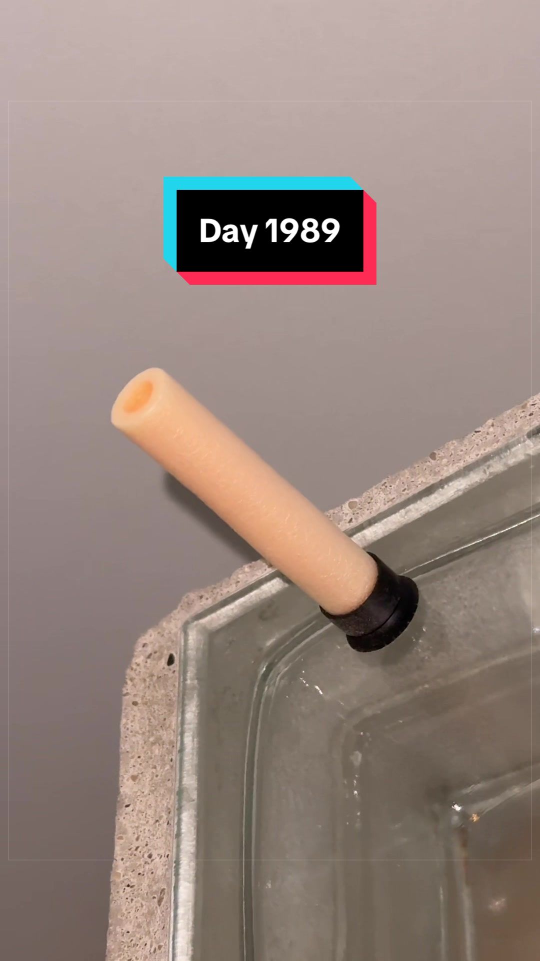 @The Immortal Nerf Dart