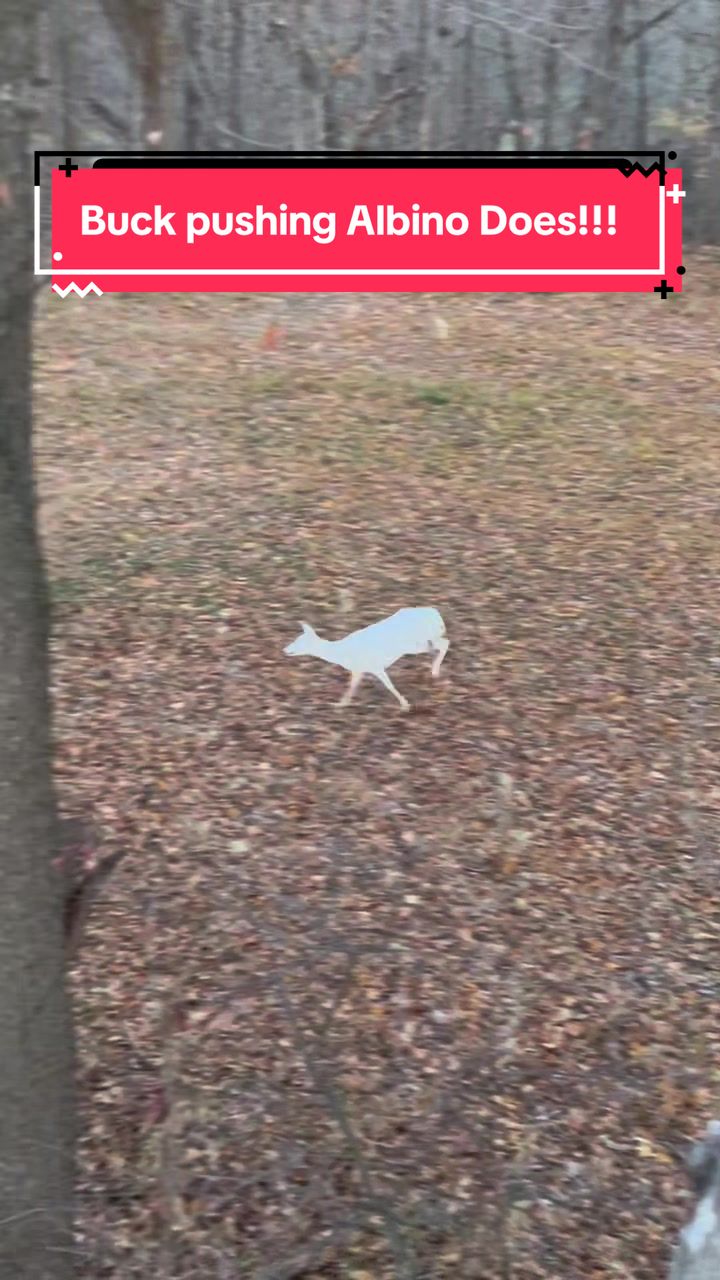 @The Corridor Outdoors