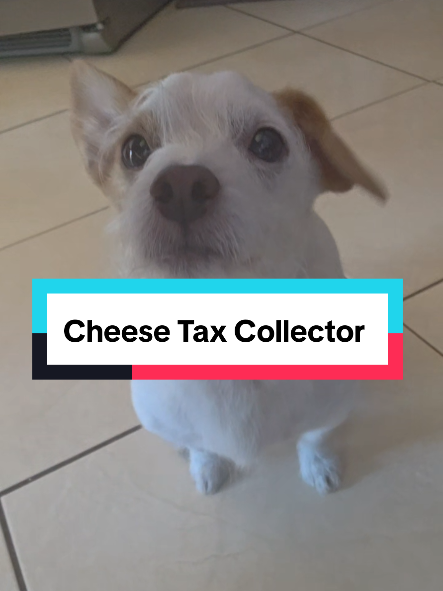 @𝕍𝕚𝕔𝕥𝕠𝕣𝕚𝕒 𝕃𝕠𝕦𝕚𝕤𝕖