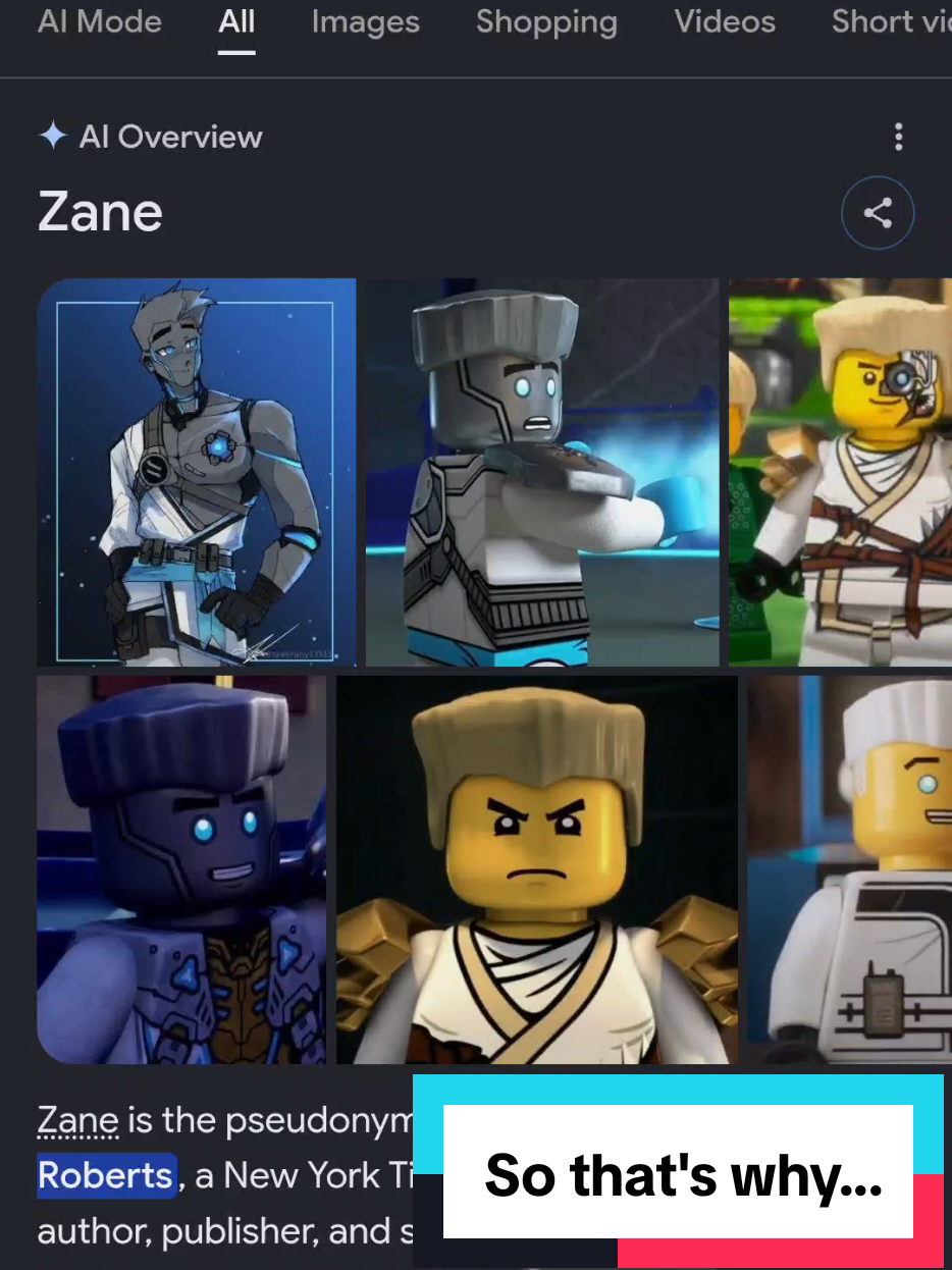 @PjBricks