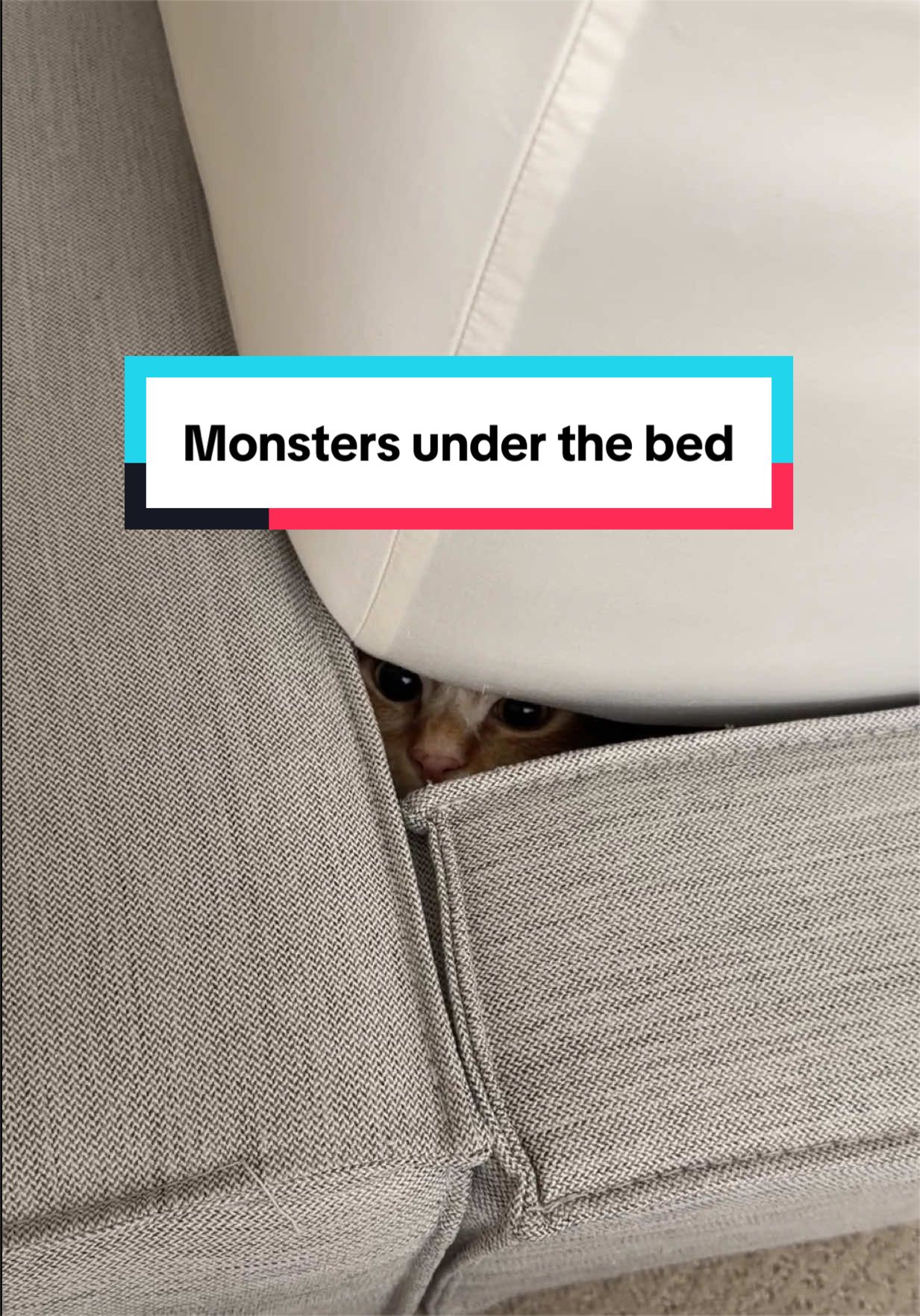@Mariah | Cat Mom