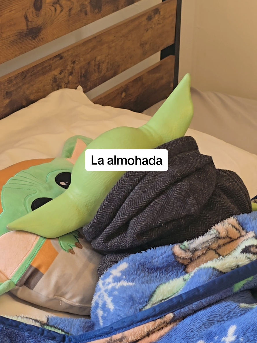 @Yoditabeibi (USA)