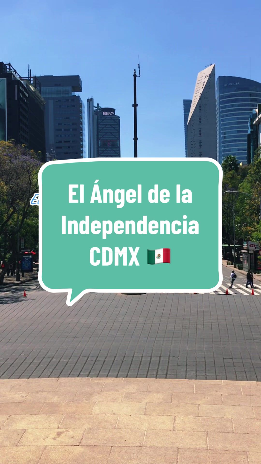 @caballeroviajero0317