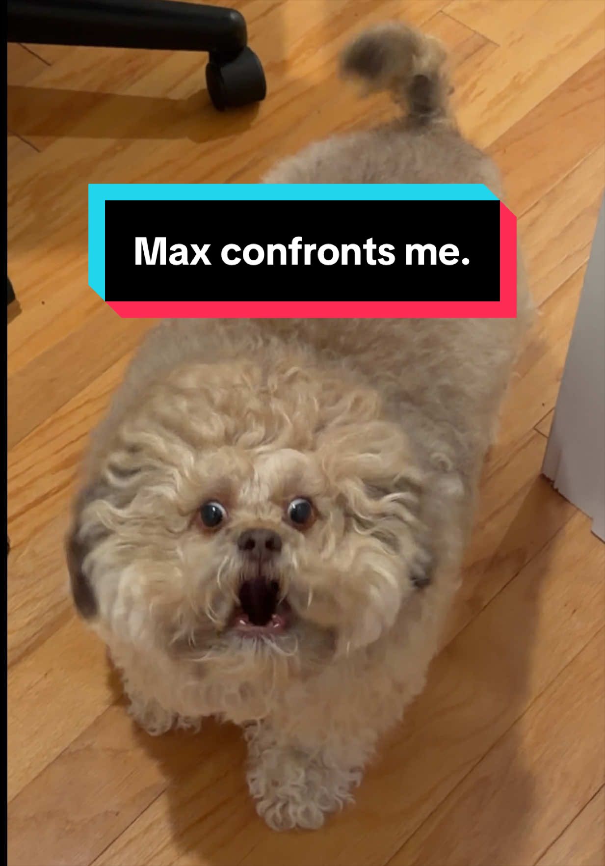 @Lil&rsquo; Max