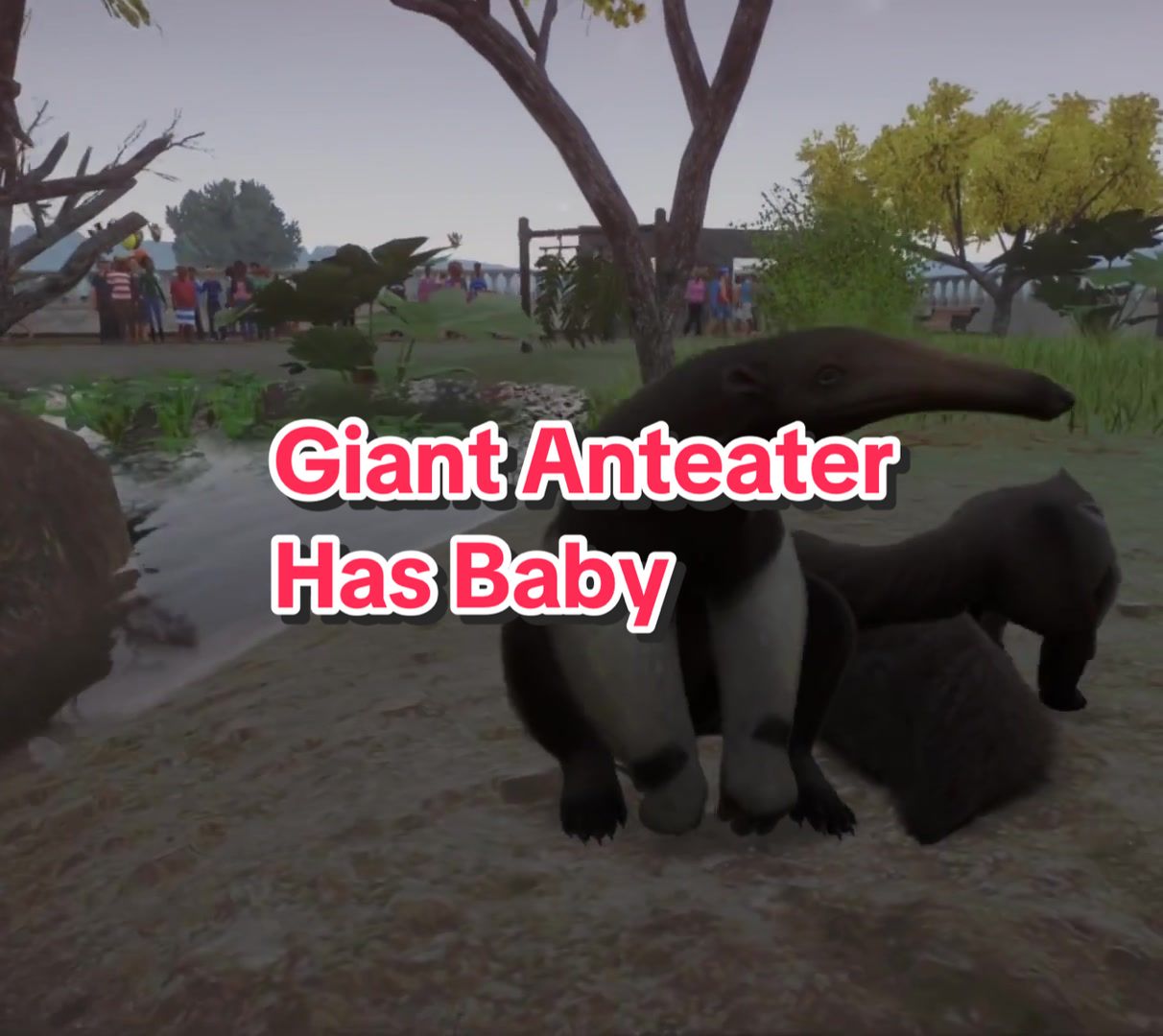 @Planetz00