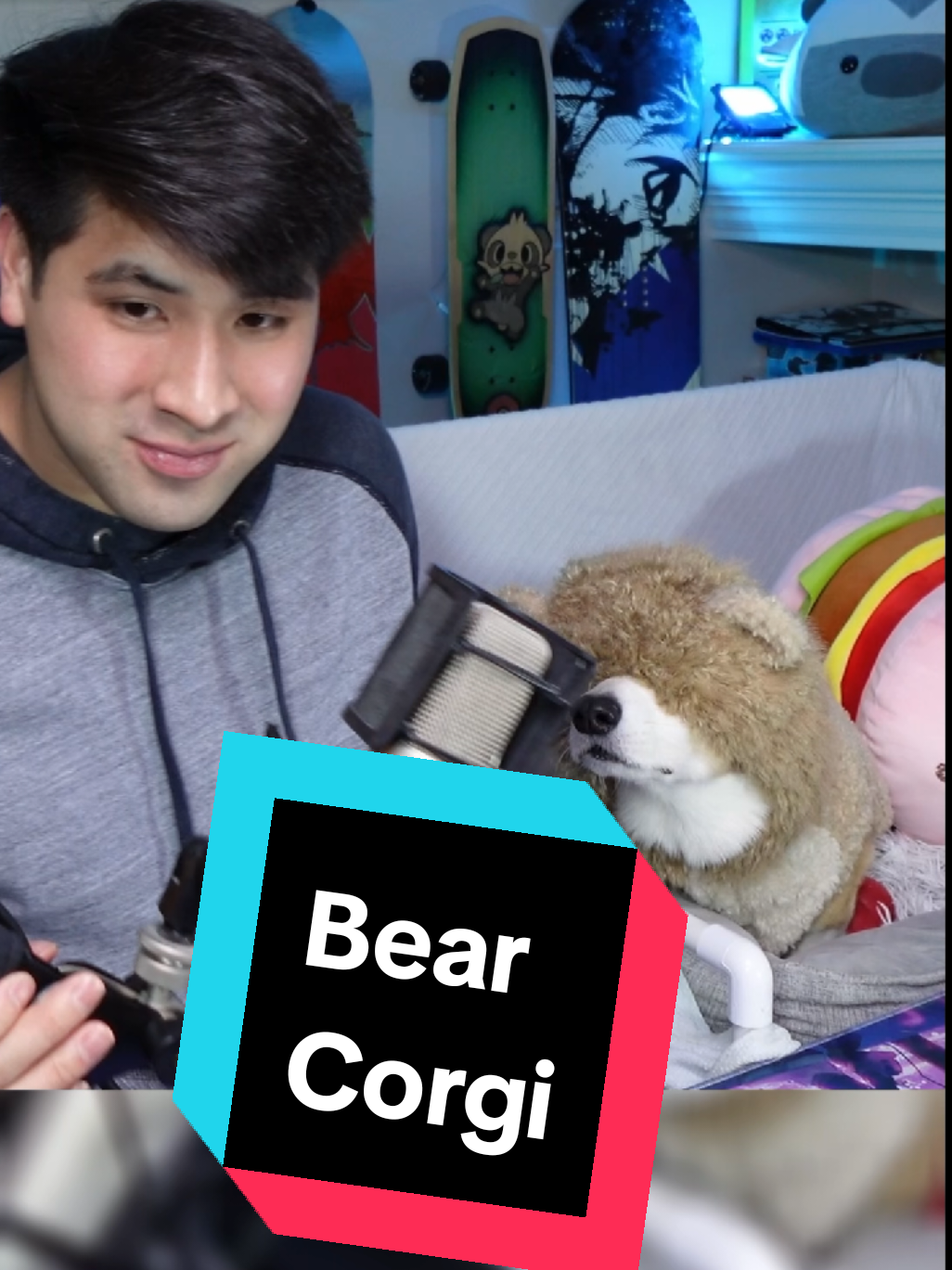 @Protocorg | Twitch Streamer