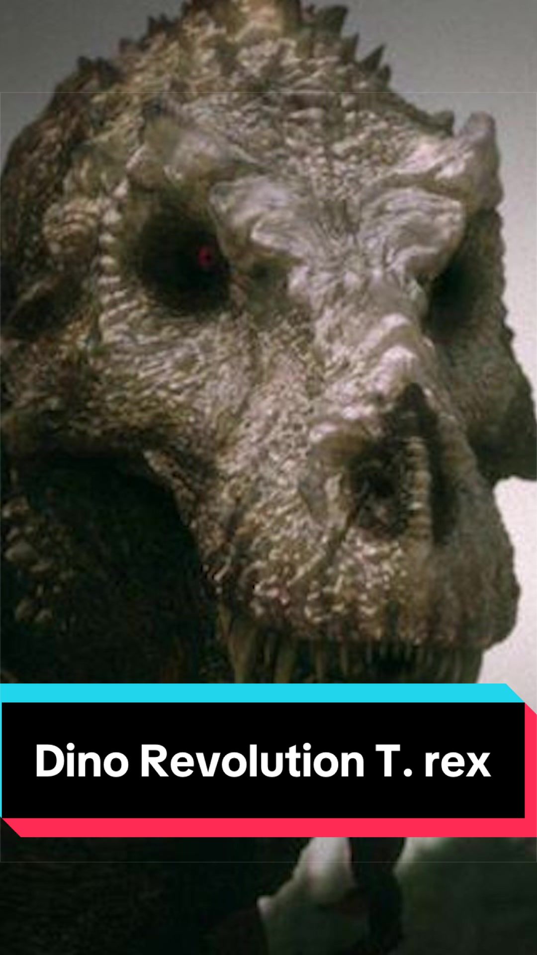 @Dino Guy