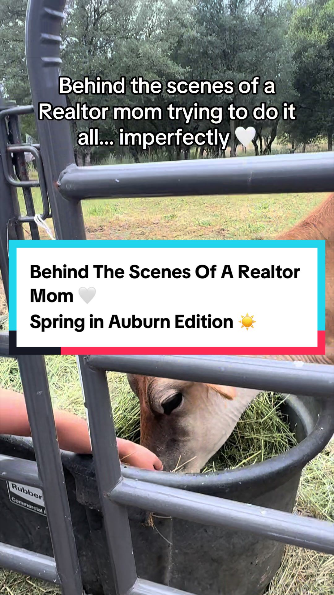 @Realtor | Auburn, CA | Brianna