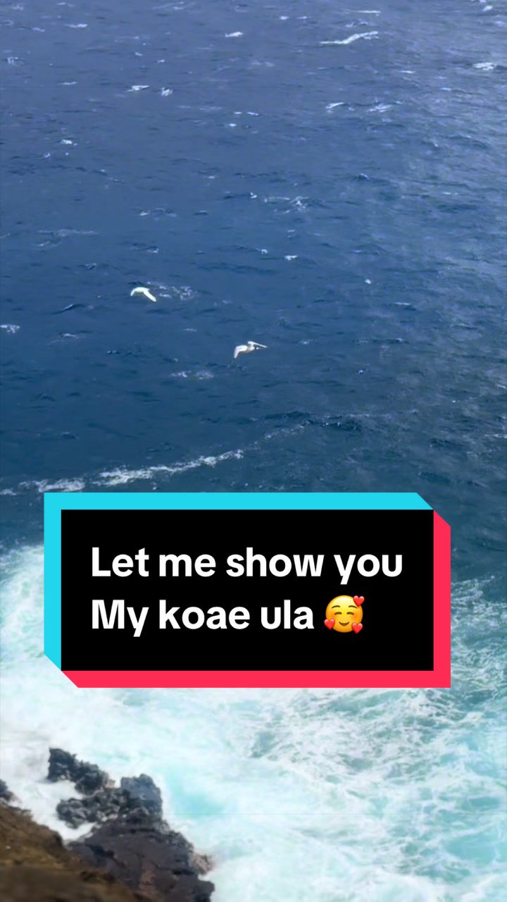 @Awapuhi_thegoat