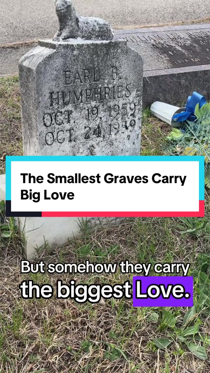 @MortuaryMillennialMom