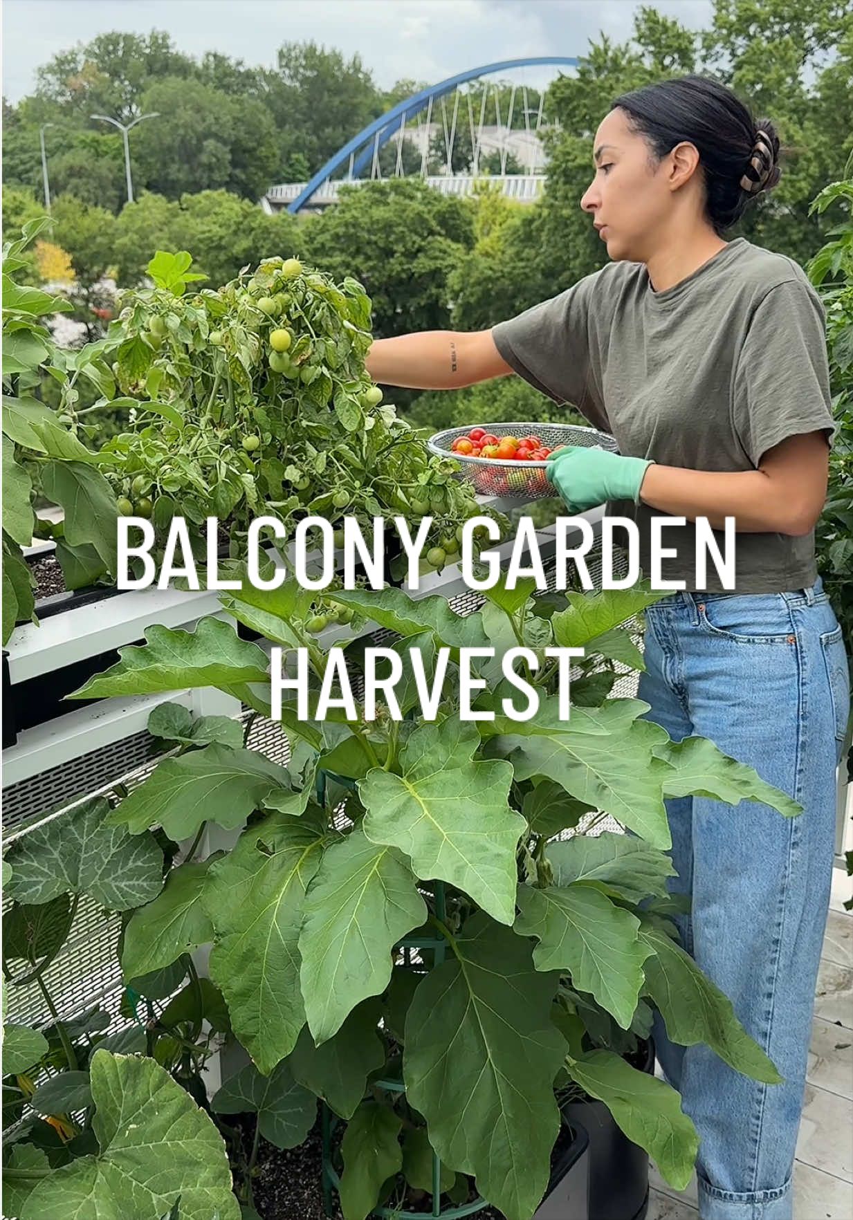 @gardeningindoors