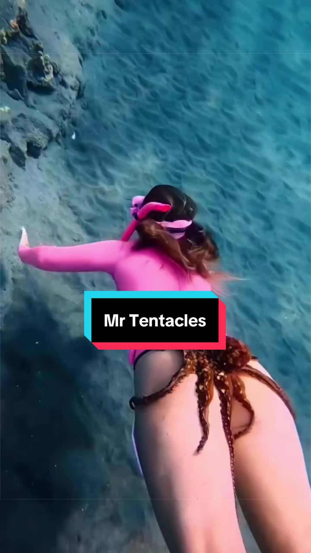 @🎵JORDN🎵