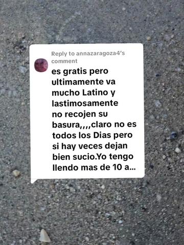 @🪸latinablogger