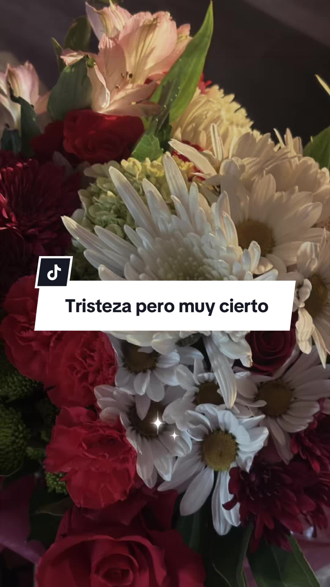 @✨Magdalena🥀✨