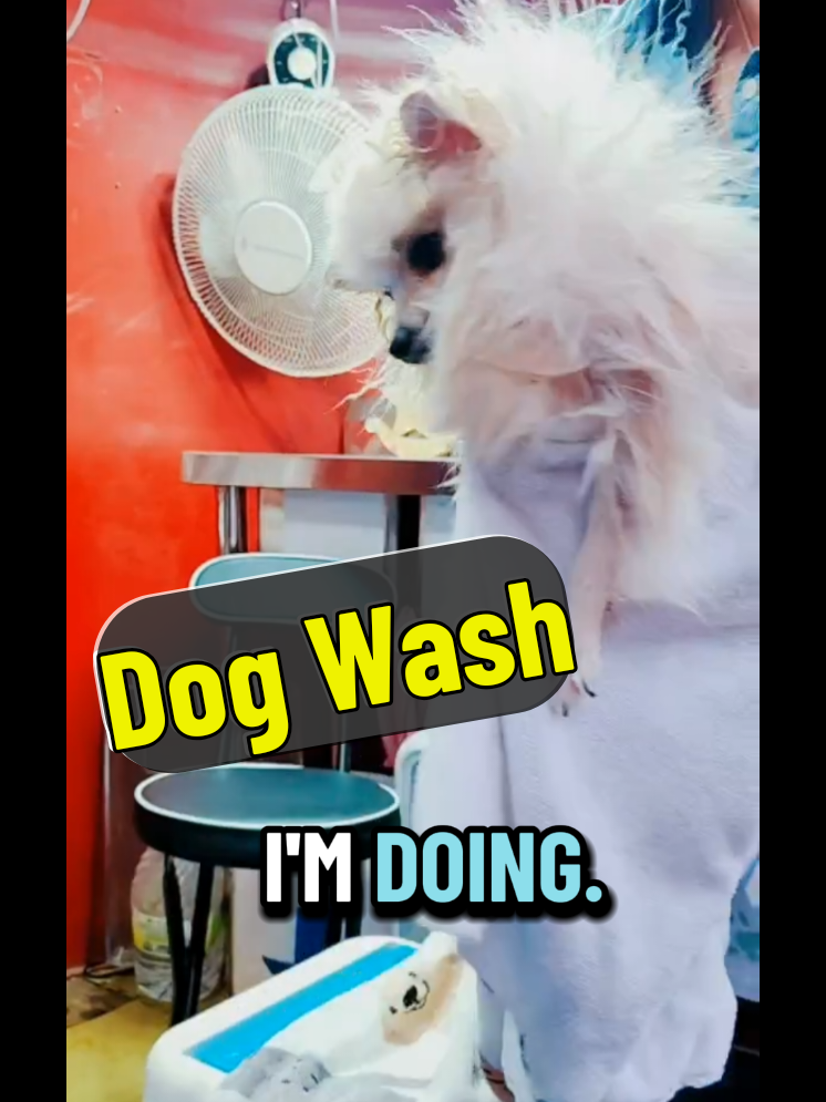 @Pompoochie