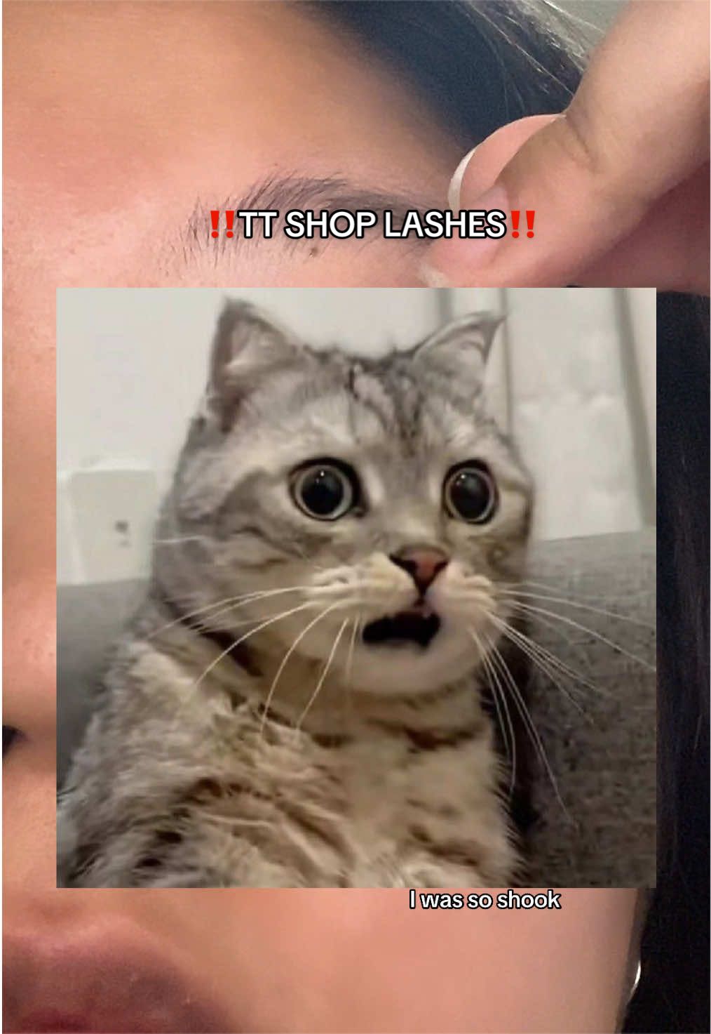 @kogumahs