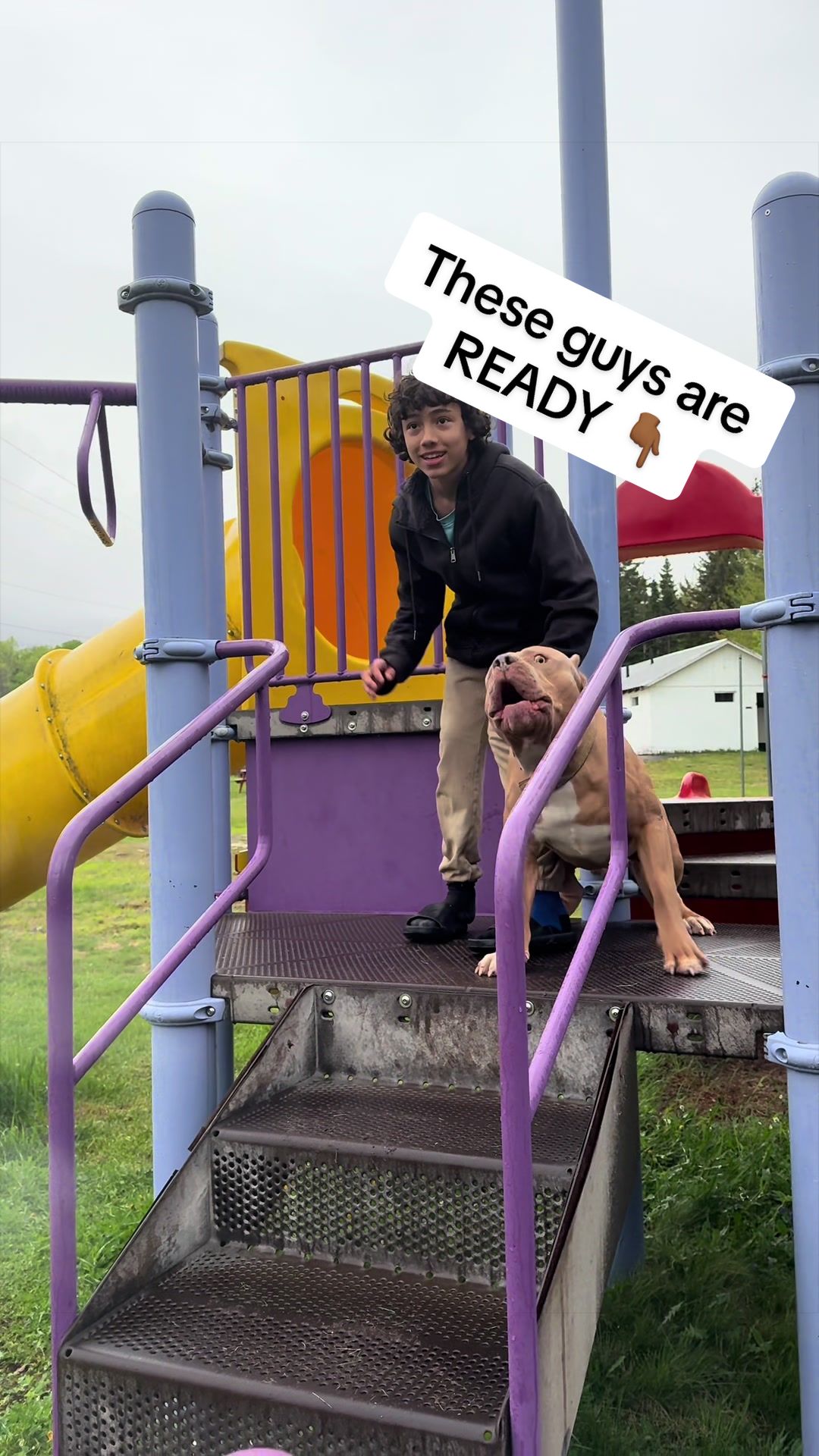 @DarkDynastyK9s