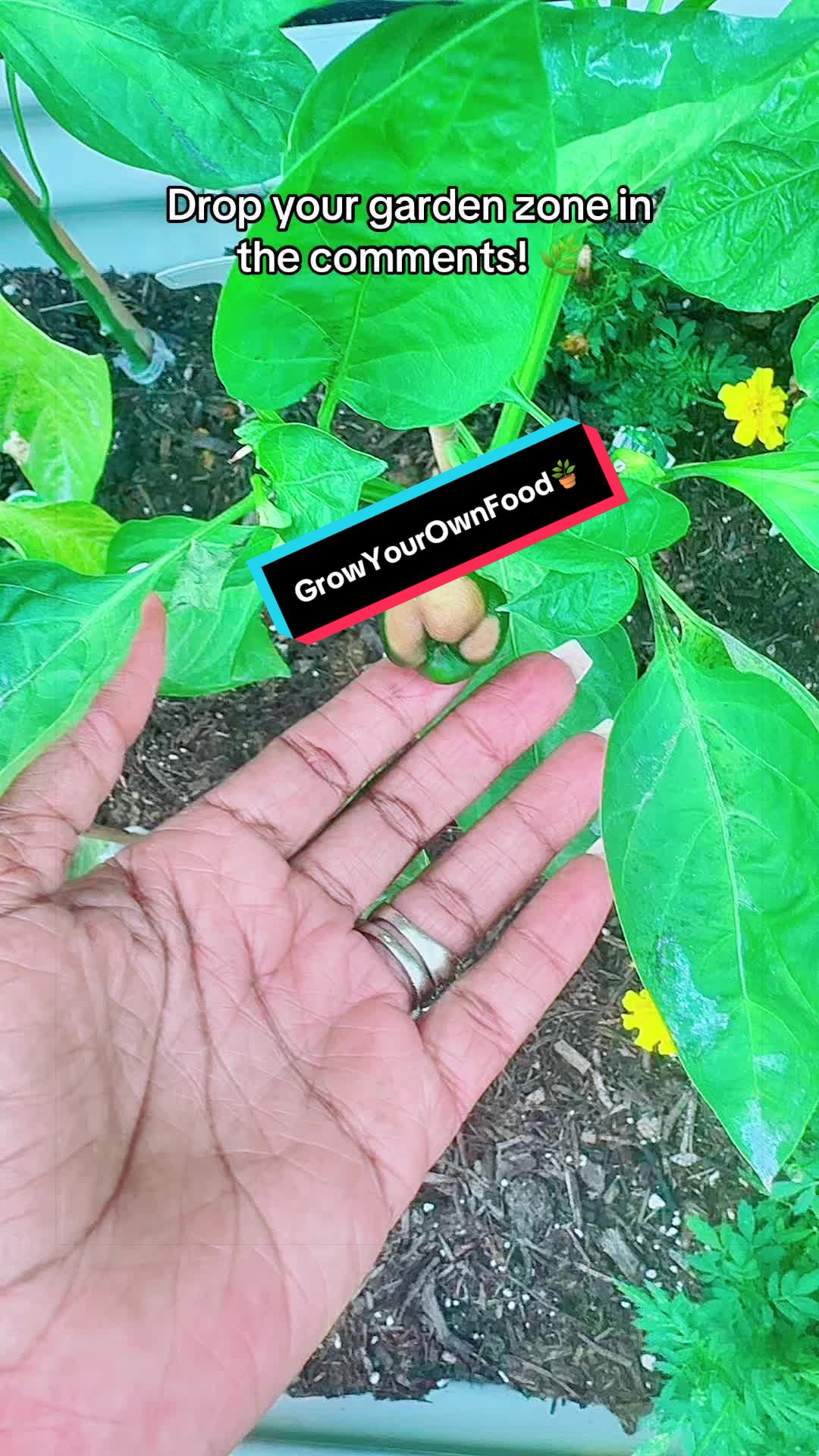 @TeeTee ❌♋️🦀