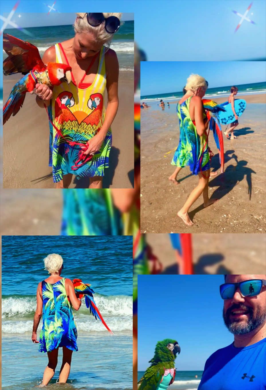 @RainbowParrotRescueFlorida