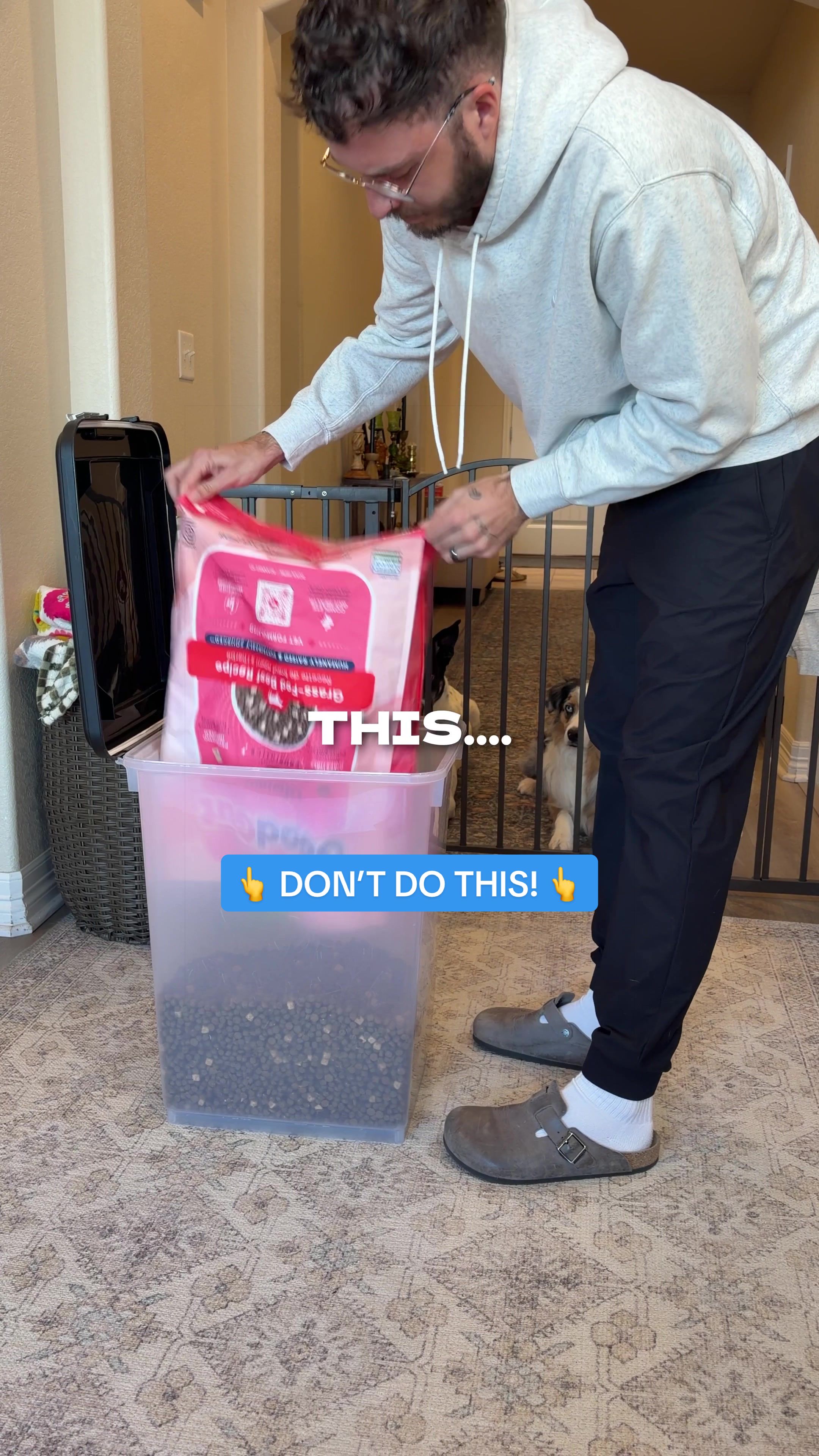 @The BK Pets - Dog Food Tips