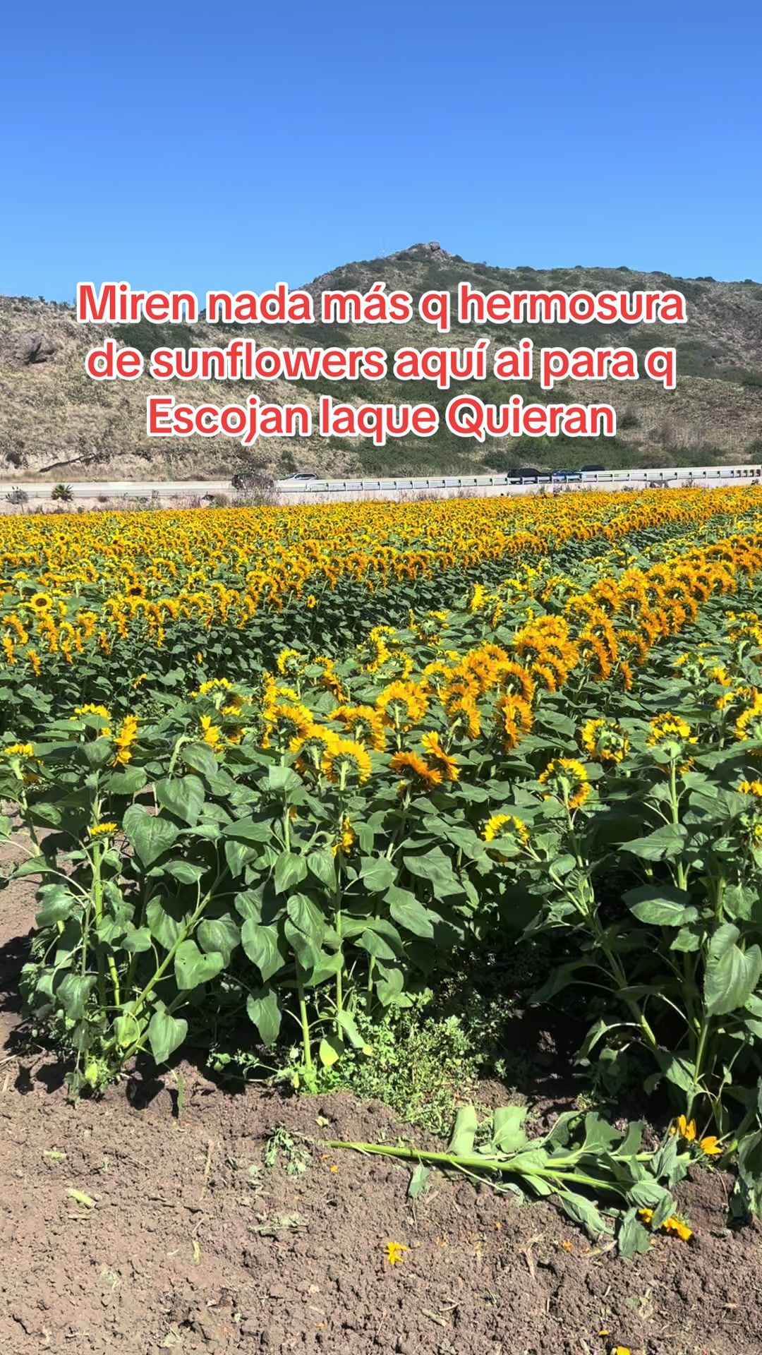 @La tía del tiktok Esvelia