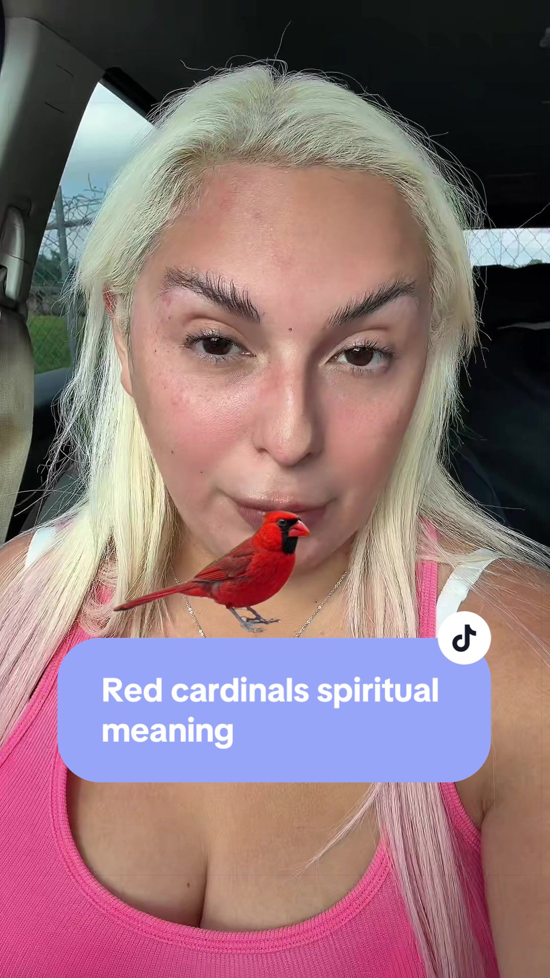 @copyallycat