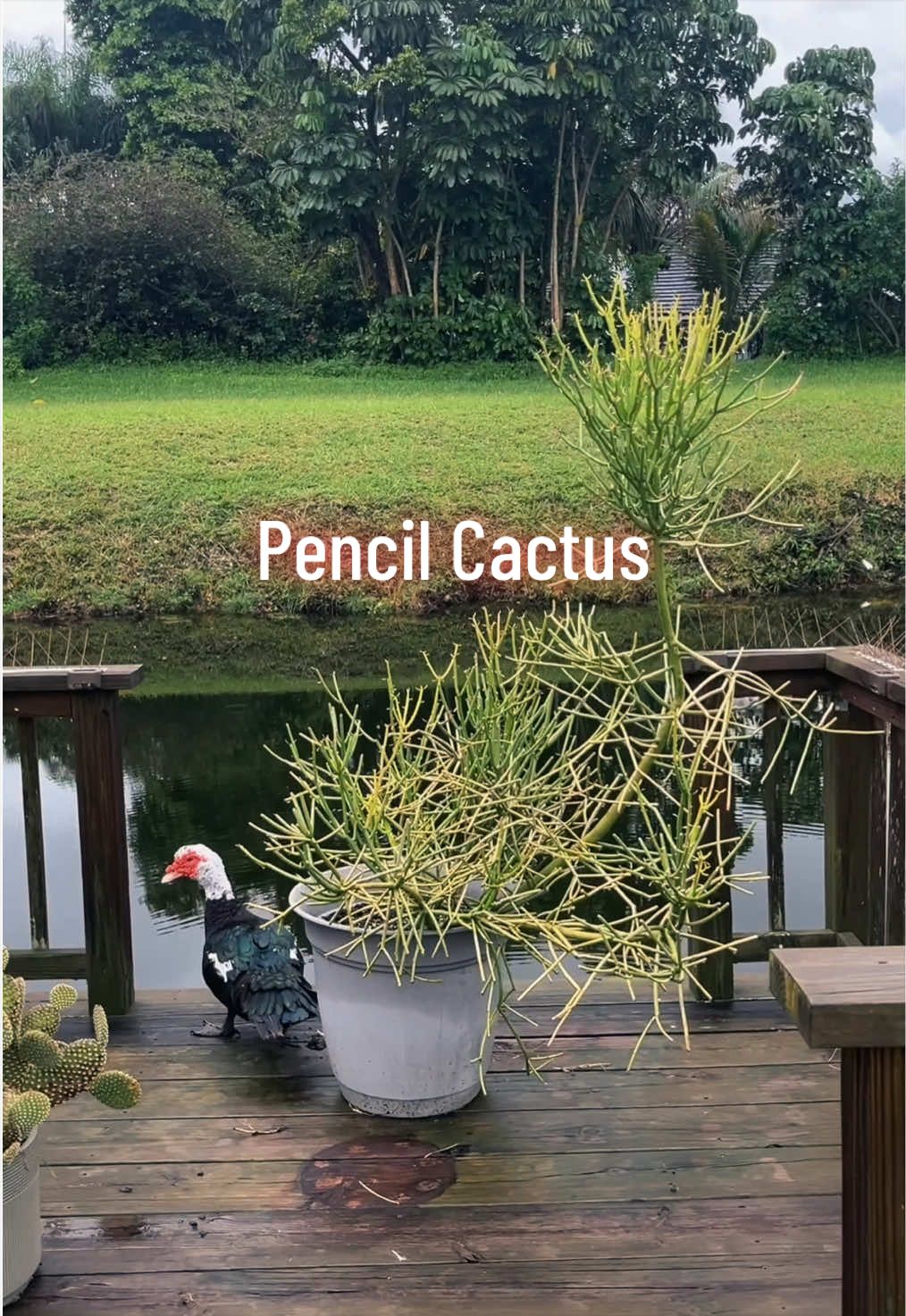 @mary_ketchup