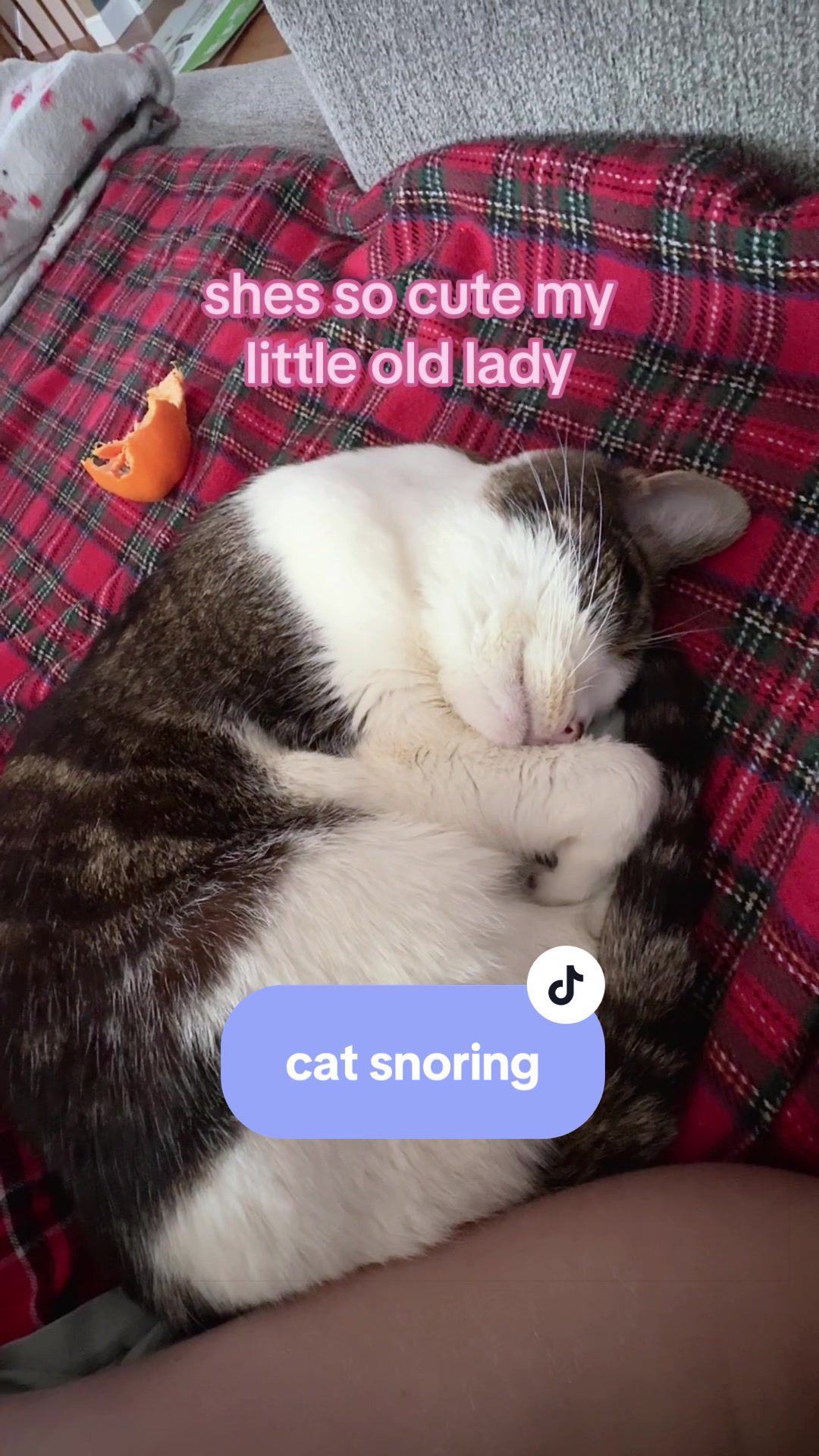 @Juno 💫🐈