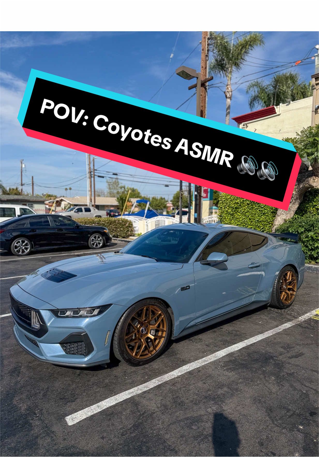 @FindingJayy