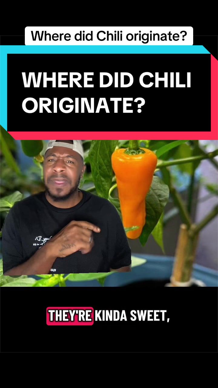 @MaintainTheDream