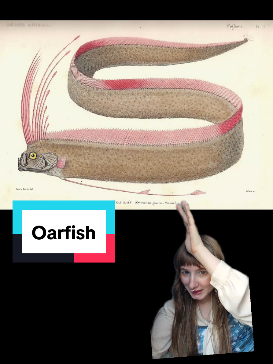 @Brooke Fitzwater, PhD