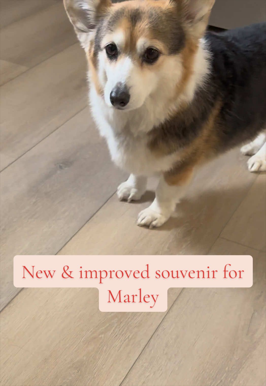 @Marley