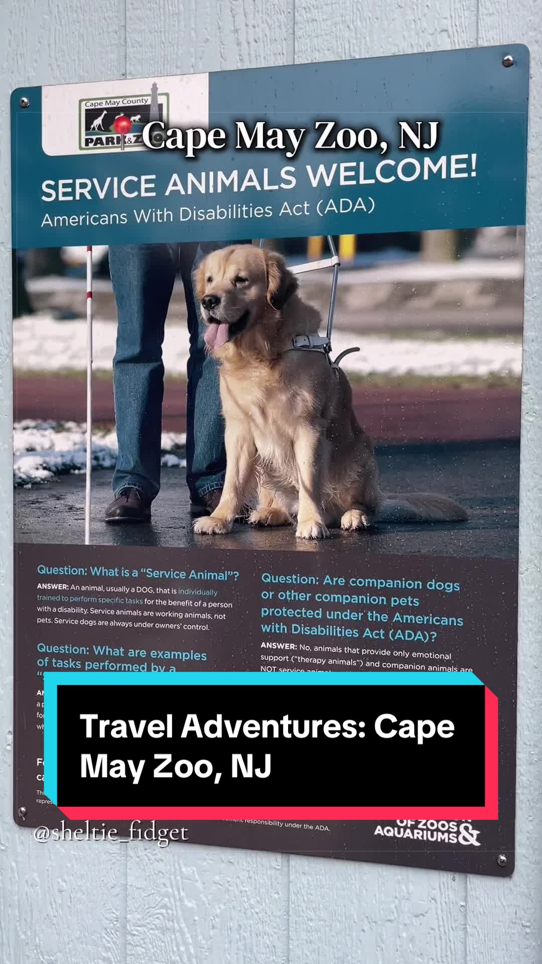 @Dakota & Pups