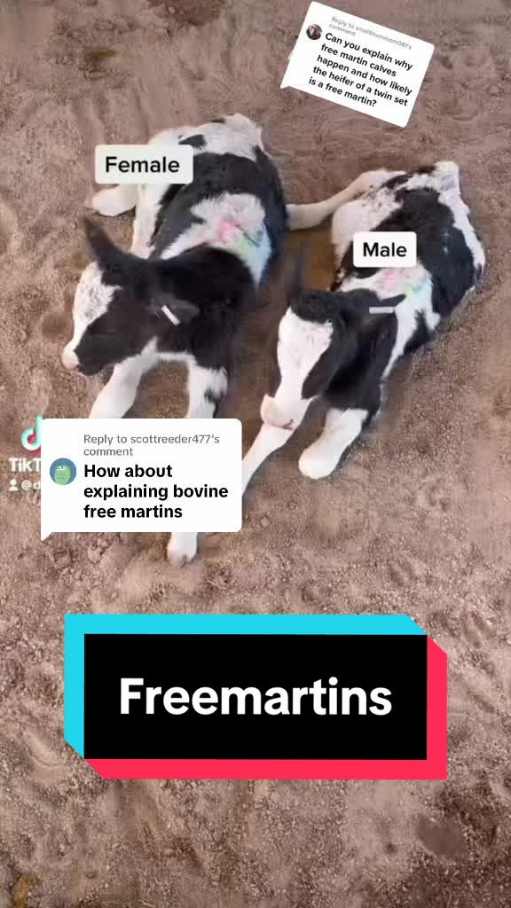 @Dairy Vet Dr. Michelle