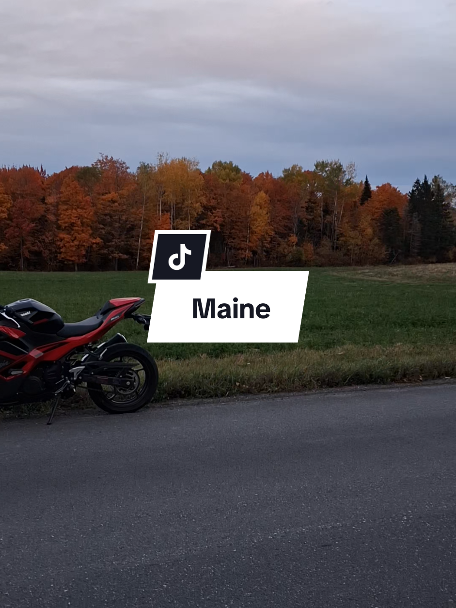 @Moxie_Moto