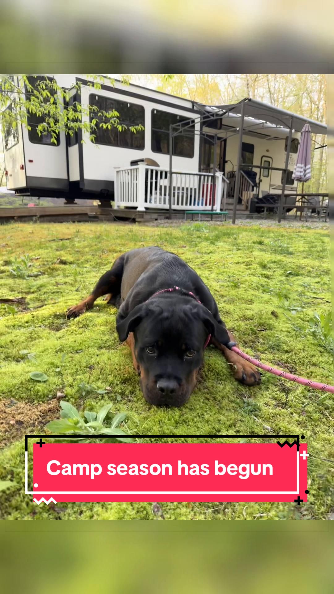 @Rott Karma Kennels LLC