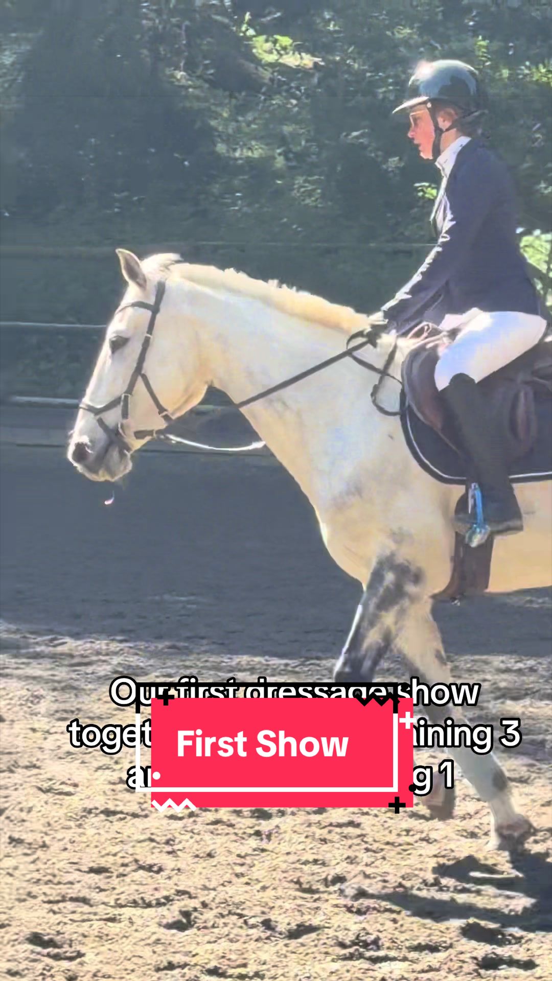 @BlueStarEquestrian