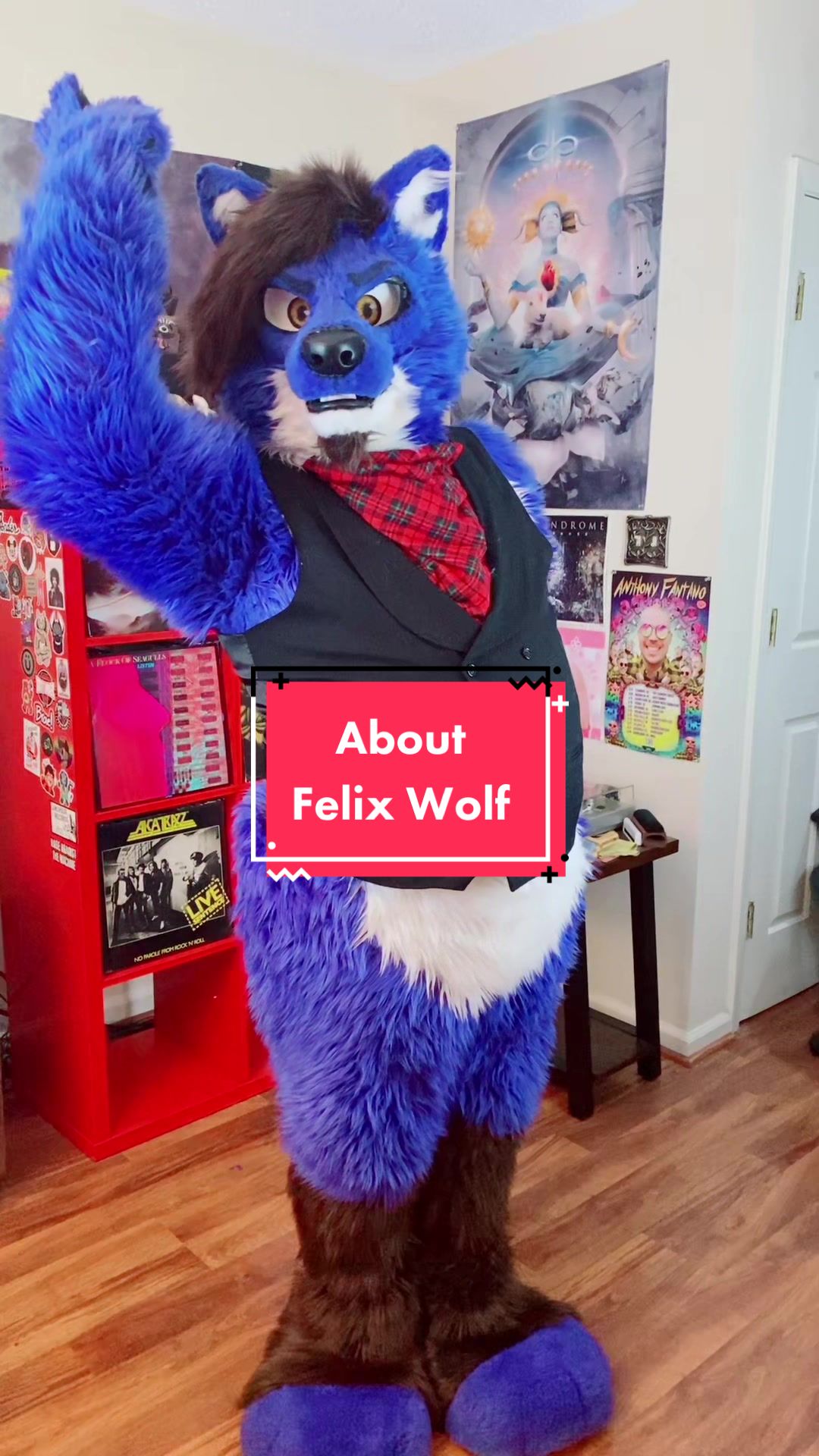@Felix Wolf