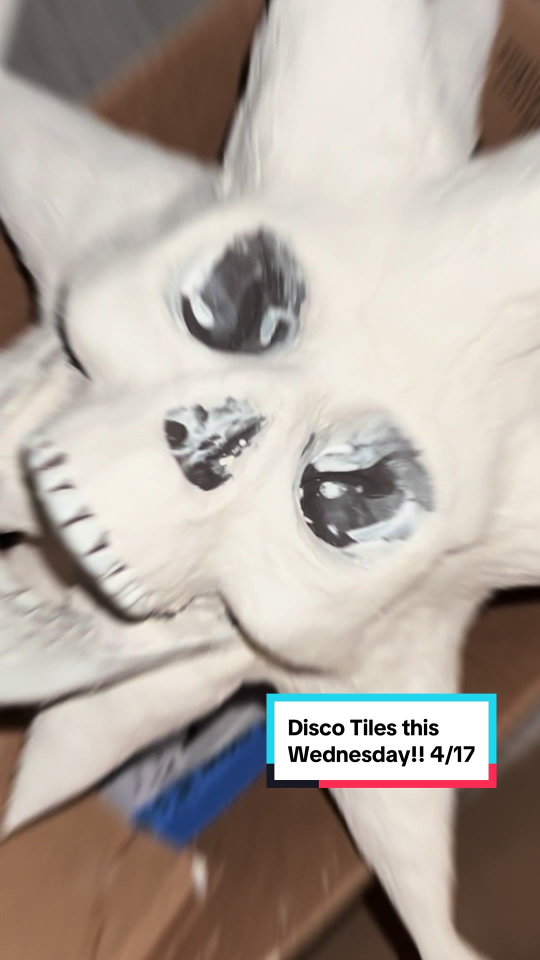@Bax